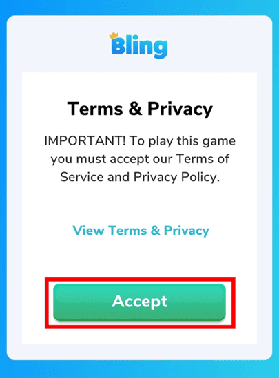 Bling terms & privacy
